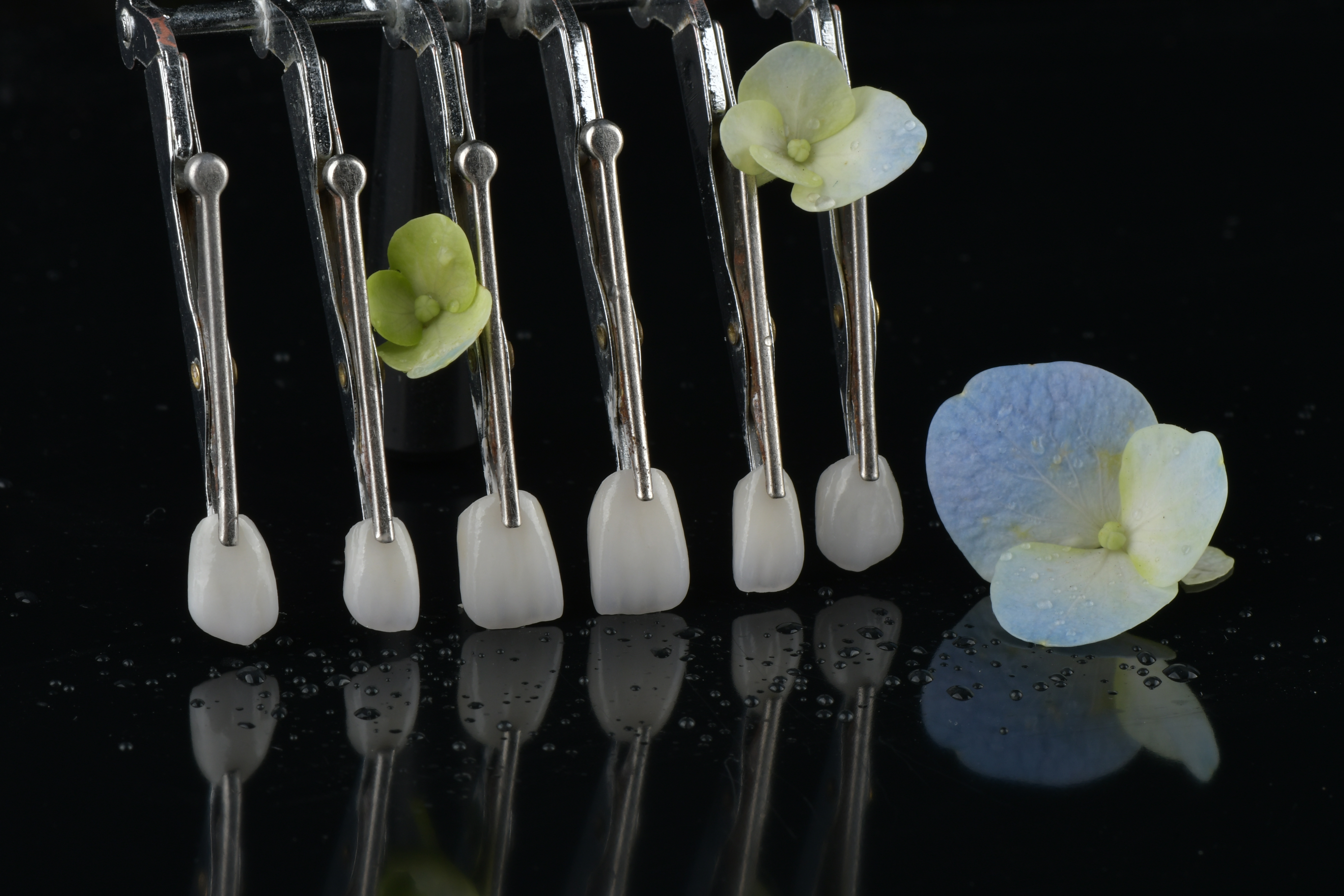 Últimos blogs de la empresa sobre ¿Las restauraciones fijas requieren citas de seguimiento?